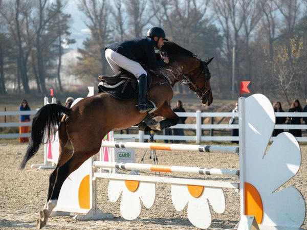 Les valeurs de l'Olympique Lyonnais